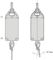 ZBRP1